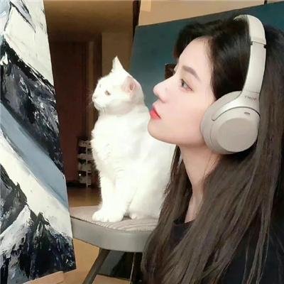 毛毯猫